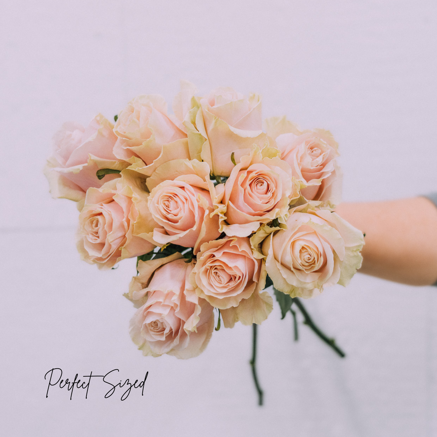 Bright & Bold Hues Bouquet