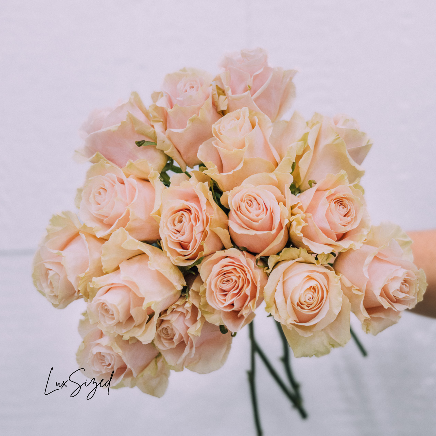 Bright & Bold Hues Bouquet