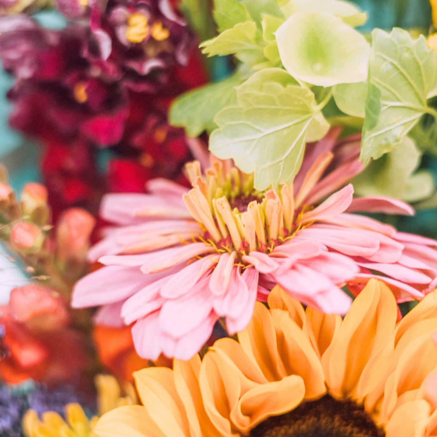 Bright & Bold Hues Bouquet