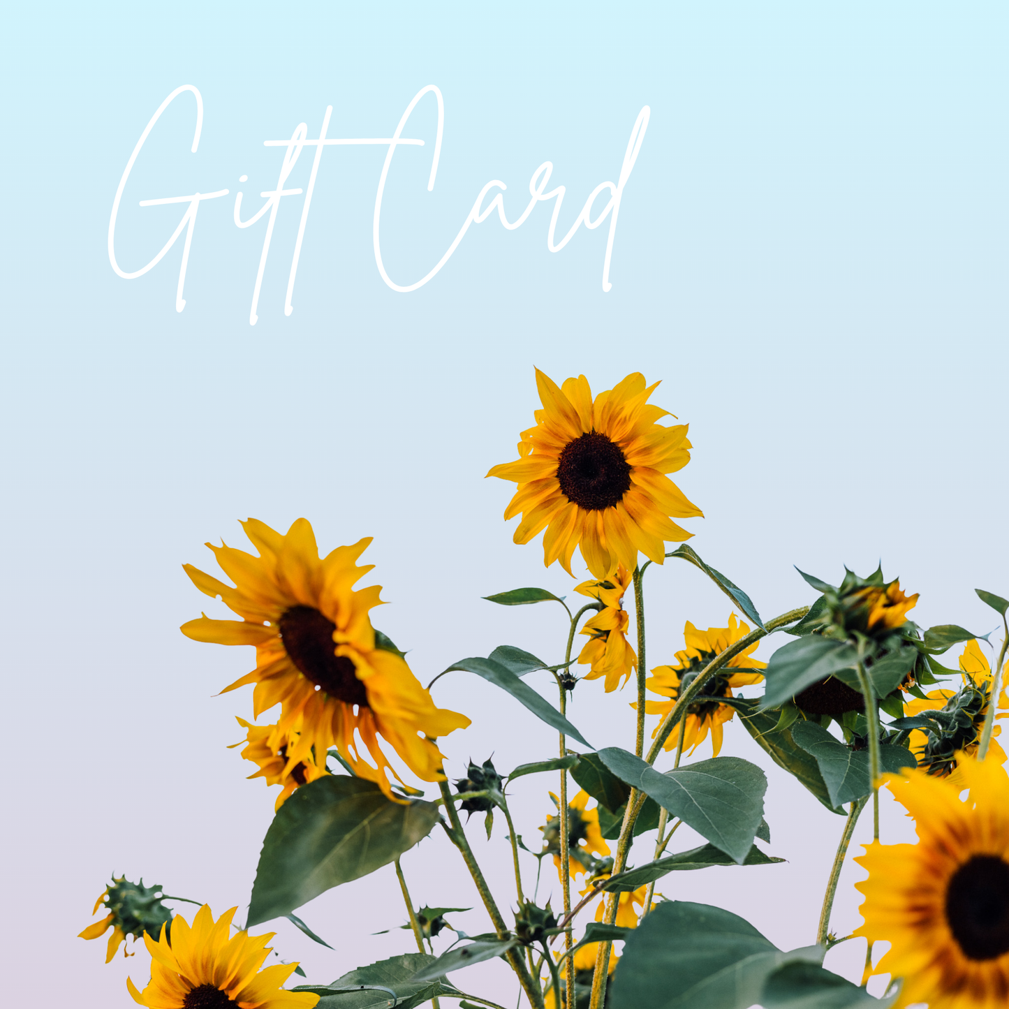Sowing Joy Gift Card
