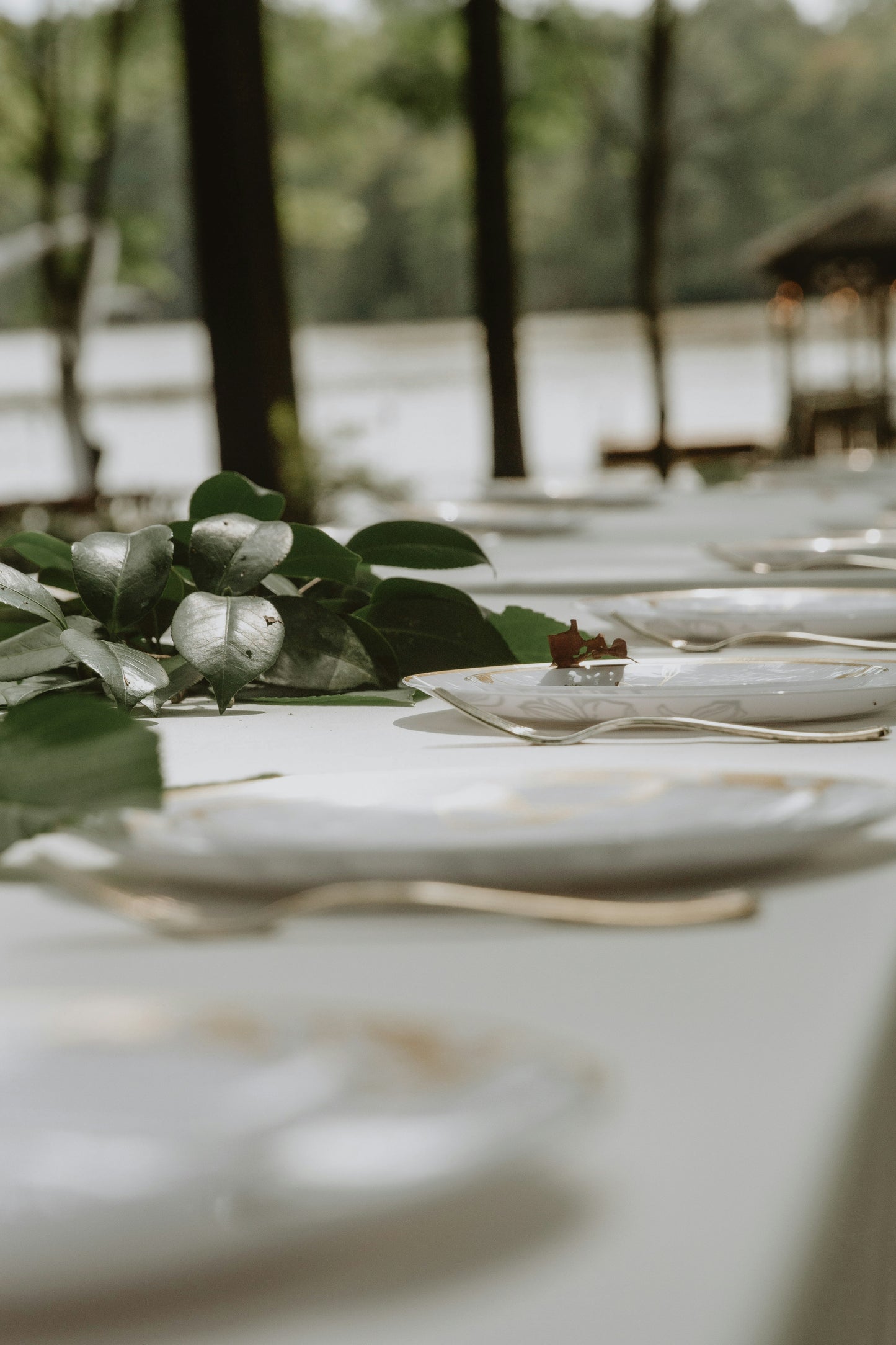 Greenery for Tables