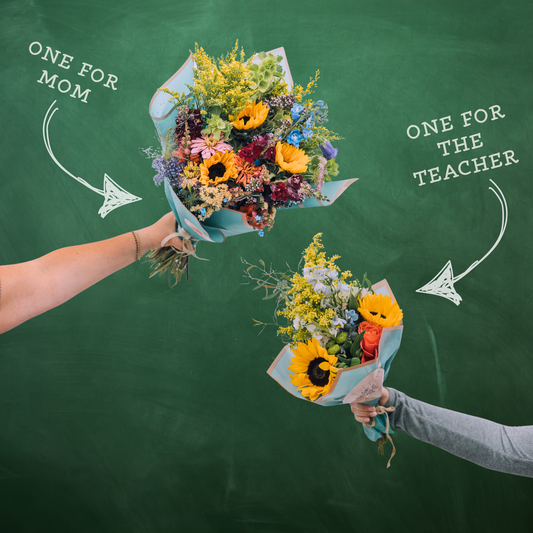 Back to School Special